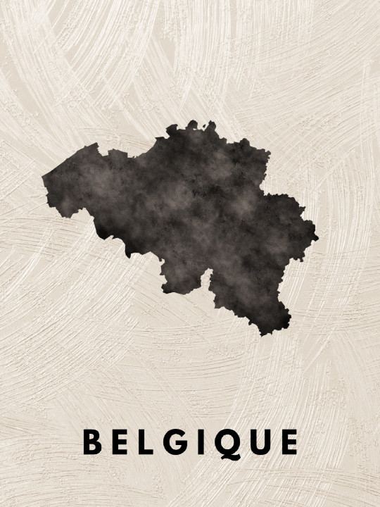 Poster - Belgique-Accueil-OUESO