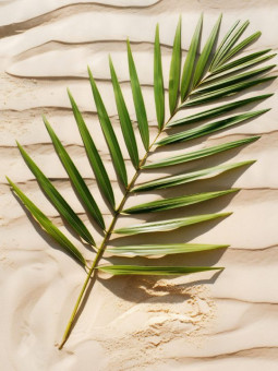 Poster - Ensablé - Accueil | Oueso - Contemporary Afro Art