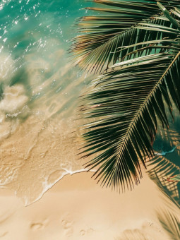 Poster - Sand palm - Accueil | Oueso - Contemporary Afro Art