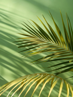 Affiche - Green flora - Accueil | Oueso - Art Afro Contemporain