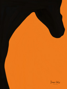 Affiche - Shadow horse - Art mural | Oueso - Art Afro Contemporain