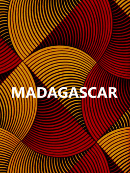 Poster - Madagascar wax - Accueil | Oueso - Contemporary Afro Art