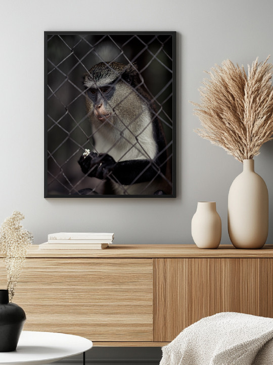Poster - Wild Serenity-Accueil-OUESO