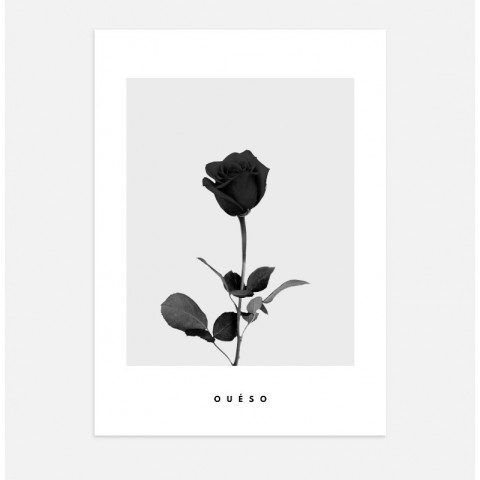 Affiche Rose - Poster fleur noir et blanc