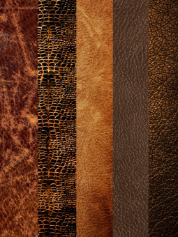 Poster - Découvertes