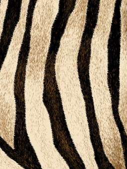 Affiche - Sable