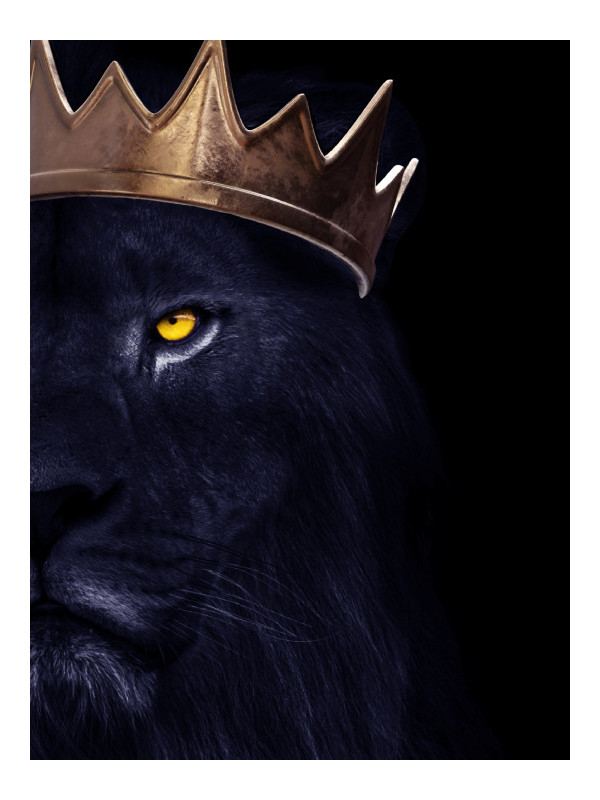 Poster - Force - Posters | Oueso - Contemporary Afro Art