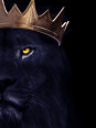 Poster - Force - Posters | Oueso - Contemporary Afro Art