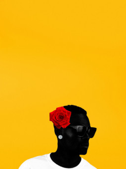 Affiche - Afro Nectar