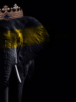 Poster - Afro Éveil