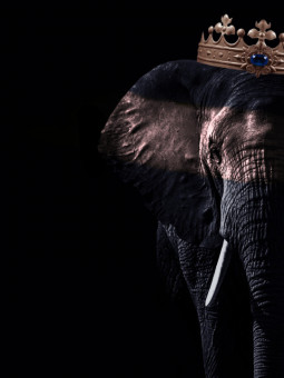 copy of copy of copy of copy of copy of copy of copy of copy of Aff...