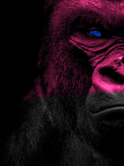 Poster - Afro puissante