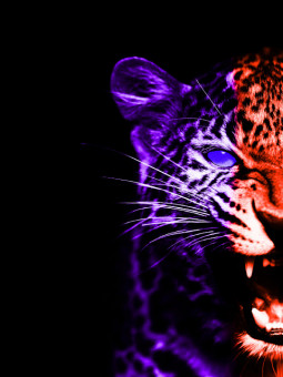 copy of copy of copy of copy of copy of copy of copy of copy of Aff...